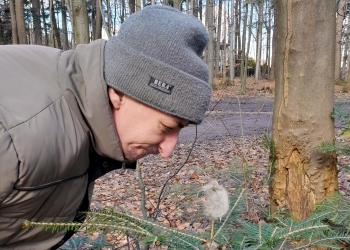 Osoba na zdjęciu ma na sobie kurtke i szarą czapkę, pochyla się przygladając się małemu drzewku iglastemu.